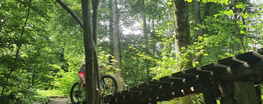Bikepark Urdorf