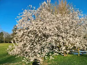 Parco "I Gorghi"