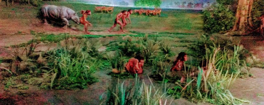 Museum Manusia Purba Klaster Dayu