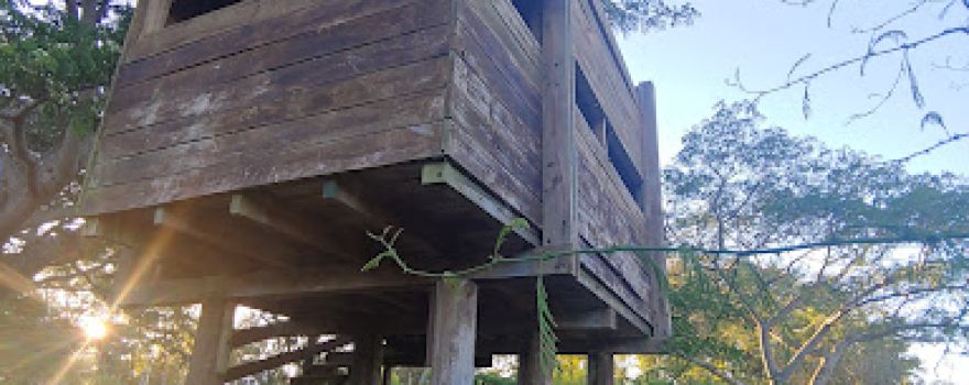 Mirador de aves