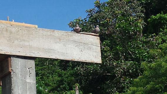 Fond Recreation Ground