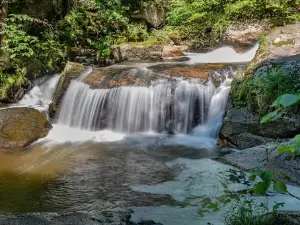 Naturschutzgebiet Feldkirchen-Pesenbachtal