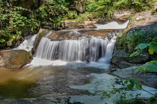 多瑙河畔菲爾德基芩