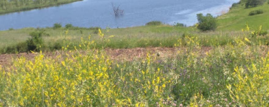 Bilby Ranch Lake