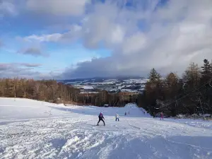 SKI areál Kvasejovice - sjezdovky