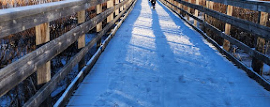 Upper Canada Migratory Bird Sanctuary