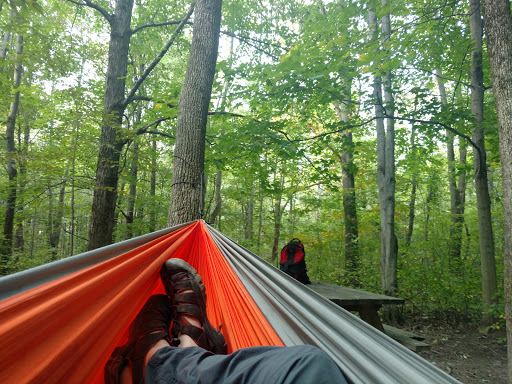 Italy Hill State Forest