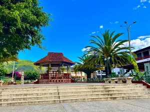 Rodriguez de Mendoza