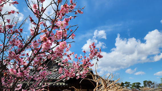 Village of the Nampyeong Moon Clan