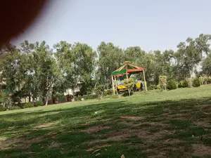 Summer Set Ground