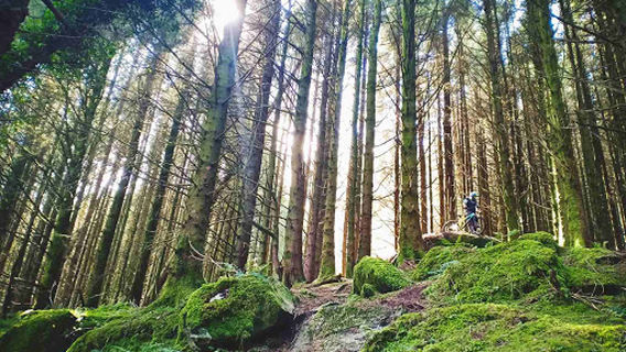Coolaney Mountain Bike Trail