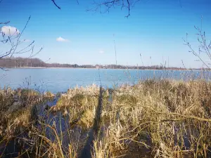 Pomost Widokowy k/Jerzwałdu