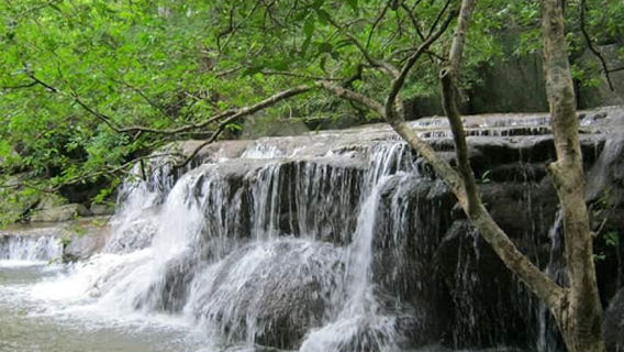 Habarana Jungle Creepers Safari