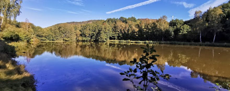 Schwarzerdener Weiher