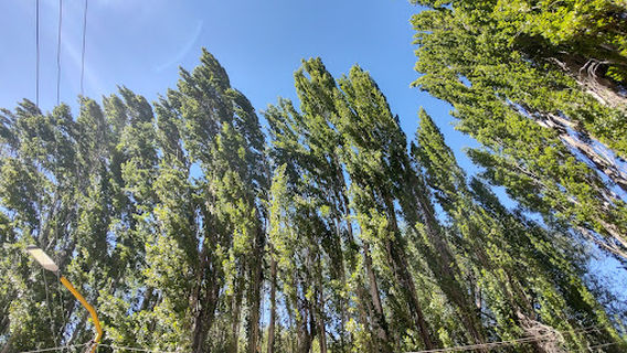El Calafate