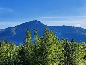 Bird Point