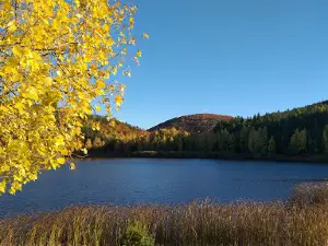 Lacul Mocearu