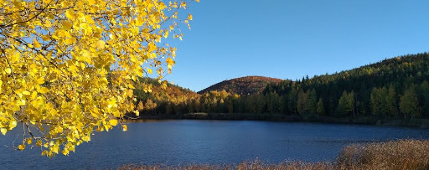 Lacul Mocearu