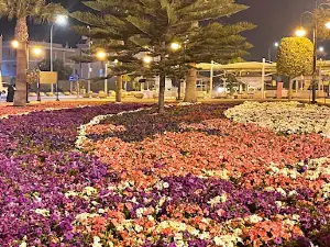 Al Mashhad park