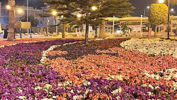 Almashhad Park