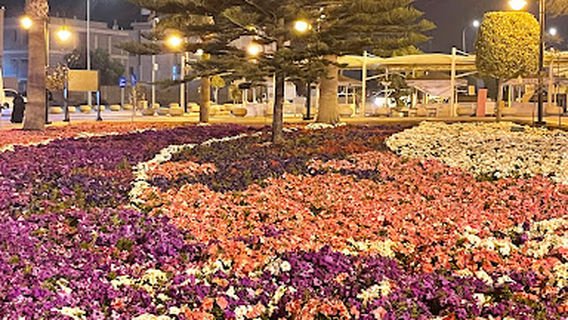 Almashhad Park