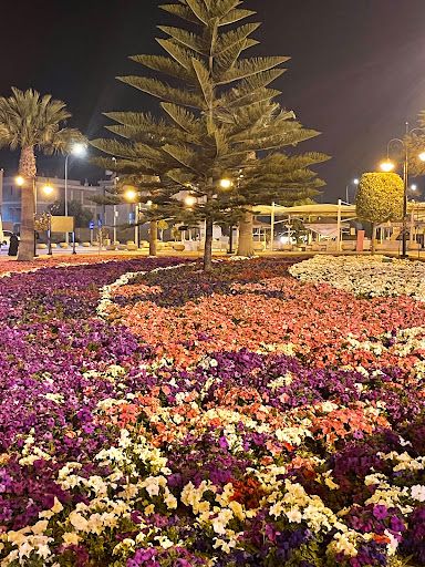 Almashhad Park