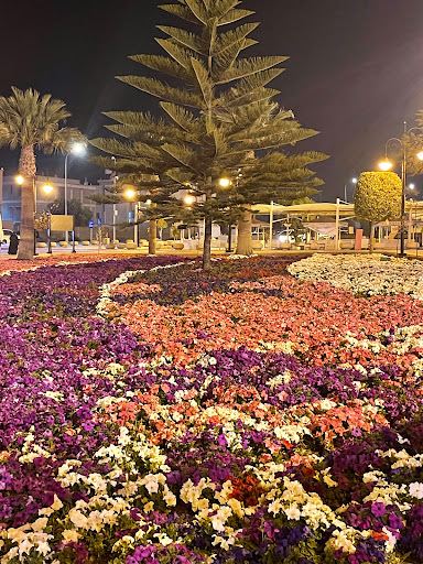 Almashhad Park