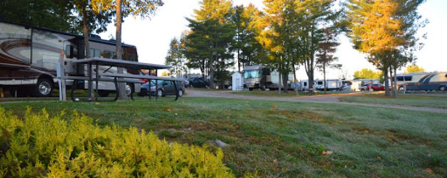 Pumpkin Patch RV Resort