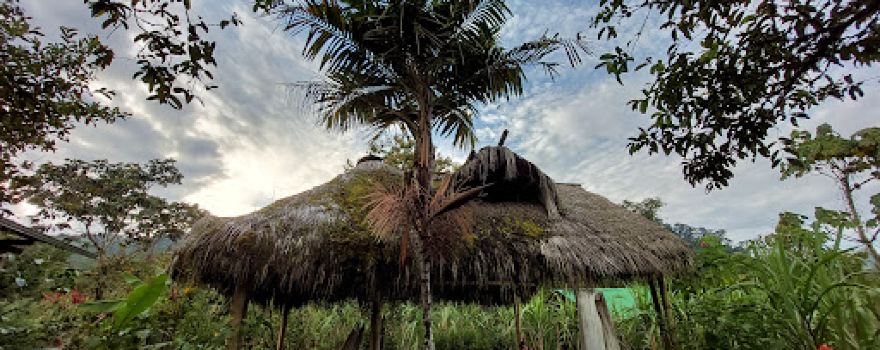 Finca El Angelito, Santa Rosa, El Chaco, Ec
