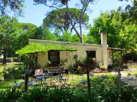 Camping Pagos de Areco - SOLO CON RESERVA PREVIA