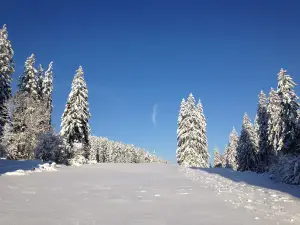 Naturpark Doubs