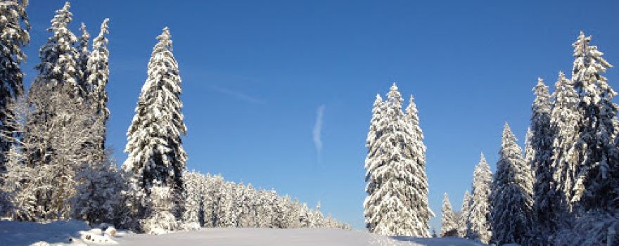 Doubs Natural Regional Park