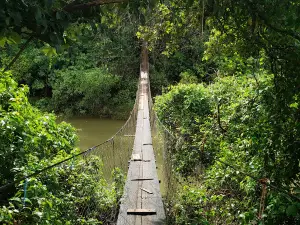 Cachoeira da Maria Concebida