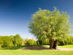 Golf de La Sorelle - Hôtel et Restaurant
