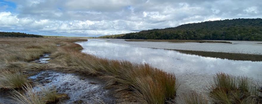 Tautuku Estuary Walkway