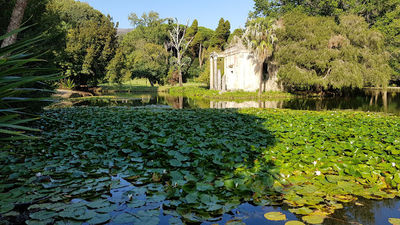 Fountain of Diana & Actaeon
