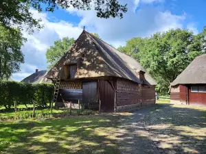 Museum Orvelte