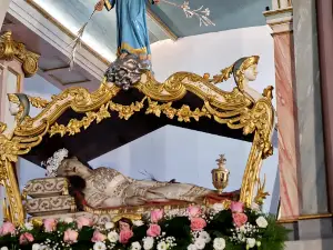 Carballeira de Santa Minia