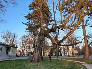Park im Stefana Złotnickiego