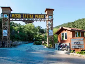 Mesir Tabiat Parki
