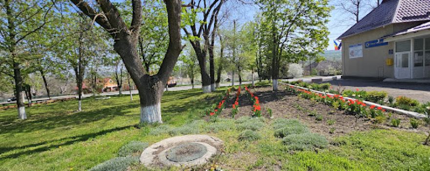 Parc Step-Soci