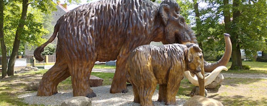 Paleopark Szprotawa