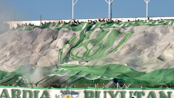 The Serpentarium - Sportivo Desamparados