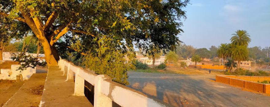 Outdoor stadium
