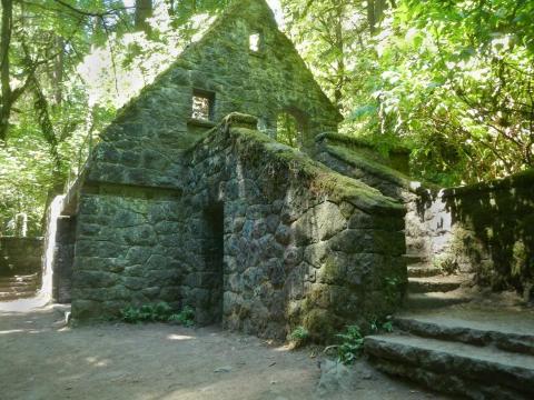 Forest Park Tickets [2025] Promos, Prices, Reviews Opening