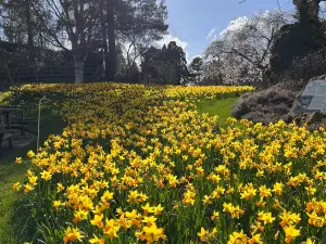 愛丁堡皇家植物園