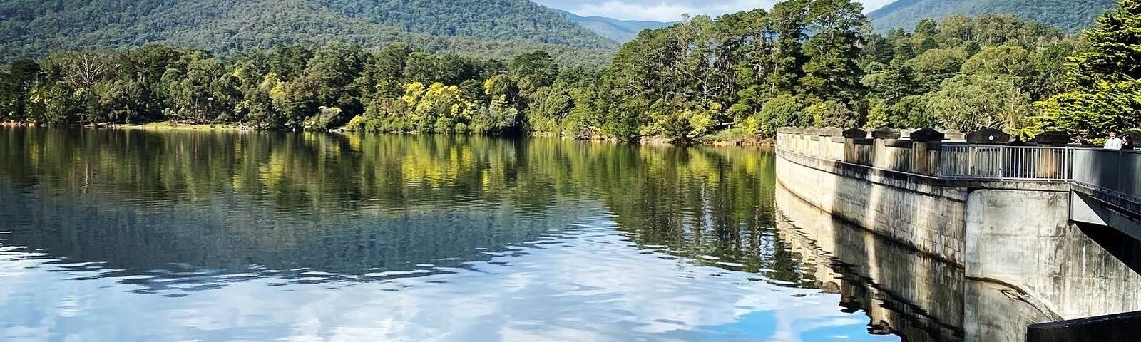 HealesvilleBiglietti barca