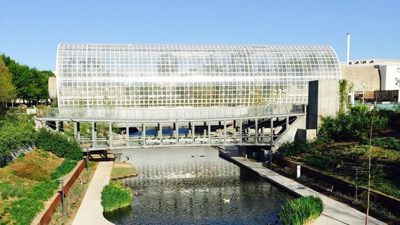 Myriad Botanical Gardens