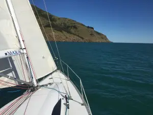Harbour Sail