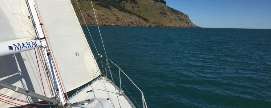 Harbour Sail